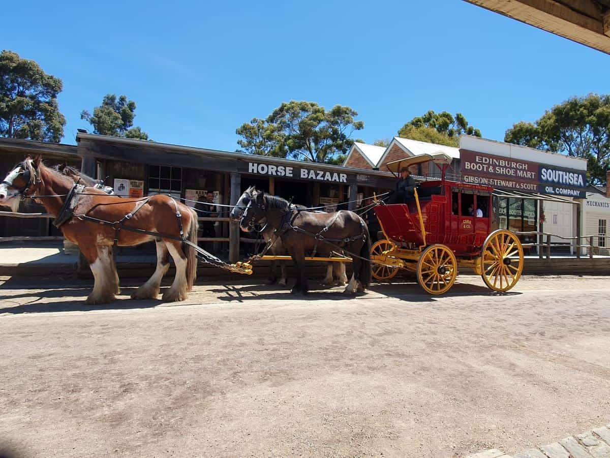 Sovereign Hill Carriage Ride 疏芬山馬車